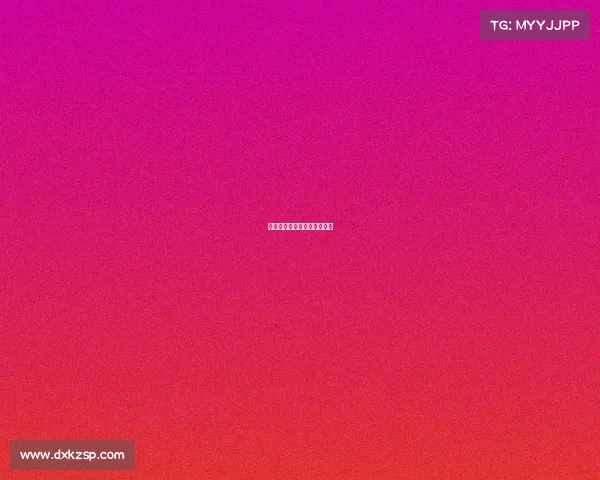 久经赛事考验、久竞冠军阵容